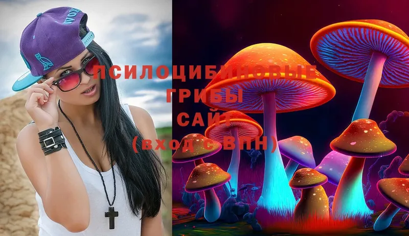 Псилоцибиновые грибы MAGIC MUSHROOMS  купить   Лагань 